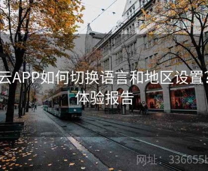 开云APP如何切换语言和地区设置？｜体验报告
