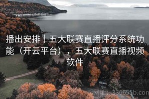 播出安排｜五大联赛直播评分系统功能（开云平台），五大联赛直播视频软件