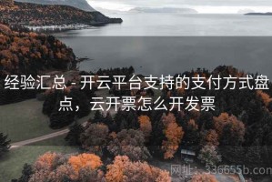 经验汇总 - 开云平台支持的支付方式盘点，云开票怎么开发票