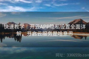 快速教学｜开云APP隐私设置全面详解，开启云服务是啥意思
