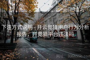下注方式说明 - 开云竞猜用户行为分析报告，开竞猜平台违法吗