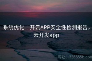 系统优化｜开云APP安全性检测报告，云开发app
