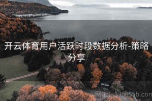 开云体育用户活跃时段数据分析-策略分享