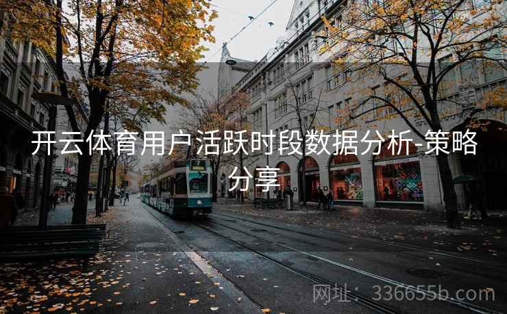 开云体育用户活跃时段数据分析-策略分享